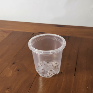 Clear Pot 9cm