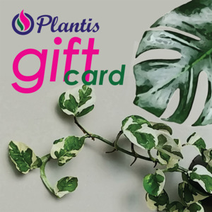 Digital Gift Cards