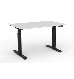 Sit Stand Desks And Workstations: WGTN SPECIAL: Electric Standing Desk : ASSEMBLED