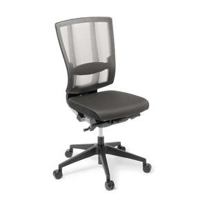 EDEN Cloud Ergo Chair