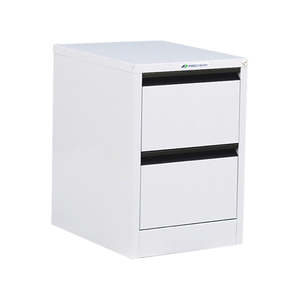 Metal Filing Cabinets: PRECISION Firstline 2 DR Filing Cabinet