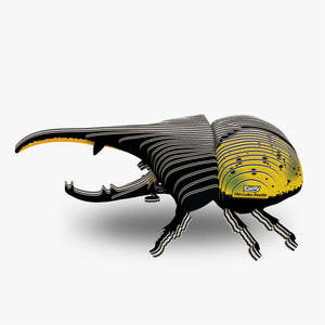 112 Hercules Beetle
