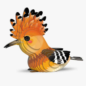 105 Hoopoe