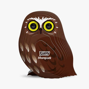 Sky: 036 Morepork (Ruru)