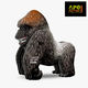 077 Gorilla