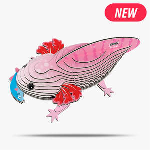 New Arrivals: 139 Axolotl