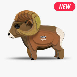 New Arrivals: 145 Bighorn