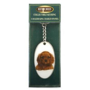 Products: English Springer Spaniel Terrier Keyring - Dog Gifts NZ