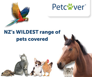 Products: Petcover New Zealand
