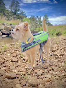 Products: Tairua Campground