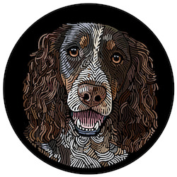 The Doggieology Pack: Doggieology Art - Springer Spaniel