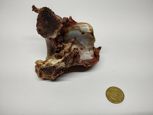 Products: Beef Neck Bone DogHouse Deli