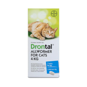 For Flea Tick And Worm: Drontal All Wormer For 4kg Cats 2 tablets