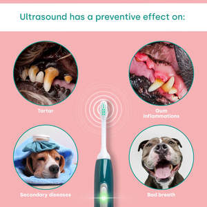 Grooming Services: Emmi-Pet Ultrasonic Teeth Cleaning Service