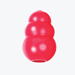 Kong Classic Dog Toy Various Sizes Dogs Are Us