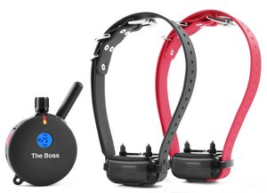 E Collar: ET-802 2 Dog “The Boss” Remote Dog Trainer