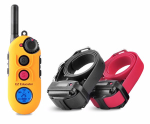 EZ-902 2-Dog Easy Educator Remote Dog Trainer