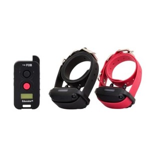 Fe-562 2-dog Fob Educator®