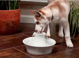 Drinkwell® Avalon Ceramic Pet Fountain – 2 Litres