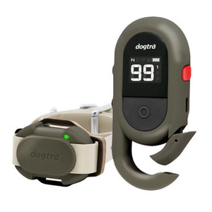 Dogtra CUE Gen2 Dog Training Collar - 365M