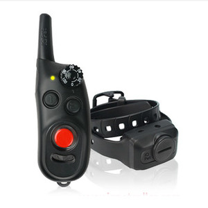 Products: Dogtra CLiQ Clicker Dog Training Collar - Small Dogs