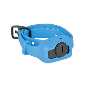 Dogtra CLiQ Clicker Add A Dog Extra Training Collar Blue