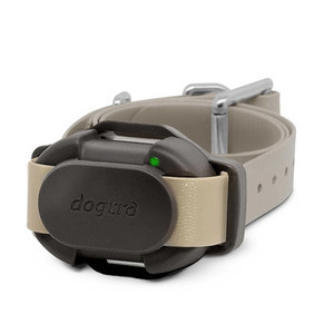 Products: Dogtra CUE 2 Dog Training Collar extra Receiver only