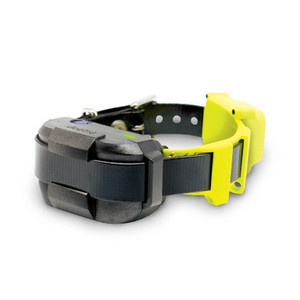 Dogtra GPS Dog Fence System - min. 3000sqm