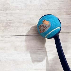 Frontpage: Tennis Ball Launcher