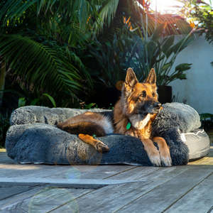 The Brooklyn Dog Beds: Brooklyn® Chew Resistant Luxe Lounger (2-in-1 Dog Bed)