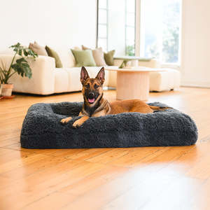 The Brooklyn Dog Beds: Brooklyn® Memory Foam Bolster Bed