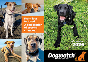 Products: 2026 Calendar