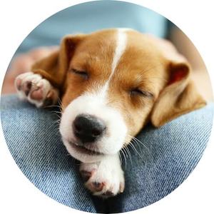 Products: Donate – you choose