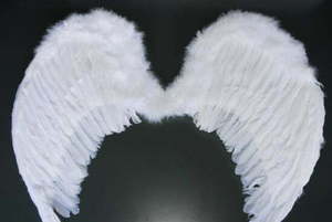 Products: Angel Wing White Feathered 60x80cm - Dollar Mart $2 And More