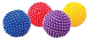 Pet Accessories: PET BALL SQUEAKY AND SPIKY 8cm
