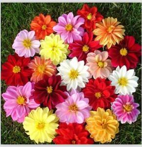 5D Diamond Art Flowers 20x20cm