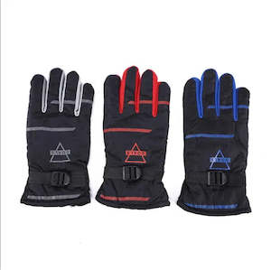 Winter: Winter Gloves for Men