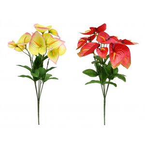 Mini Anthurium Bunch 6 Head 37cm 2 Assorted