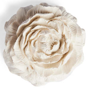 Gift Ideas: Passive Diffuser - Peony Flower