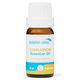 Cinnamon Pure Essential Oil 10ml
