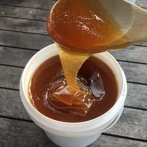 Kanuka Honey 2.5kg minibucket – Waitakere Ranges