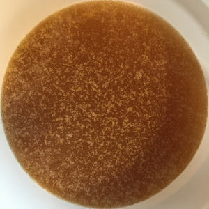 Products: Avocado-Manuka Honey 60+ MGO, 2kg minibucket