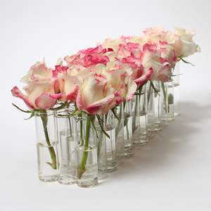 Test Tube 36pc Vase 3×12 10cm