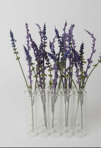 Test Tube 15pc Vase 3×5 H:12cm