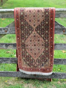 For Hire: Persian Runner - Dooley Street Styling