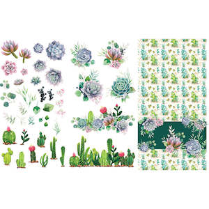 Sale 1: Belles & Whistles Transfer - Cacti & Succulents