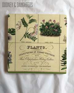 Large Tile - Vintage Botanical