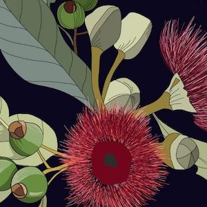 Gumnuts Decoupage Paper