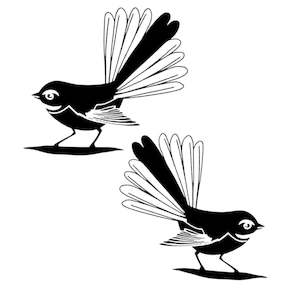 White Cloud Decor Transfers: Native Birds & Fauna Transfer - Fantails 3 - AVAILABLE FOR PRE-ORDER