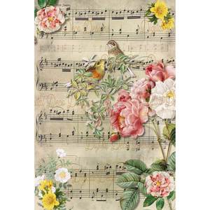 Decoupage: A4 Rice Paper - DDD - Dawn Song